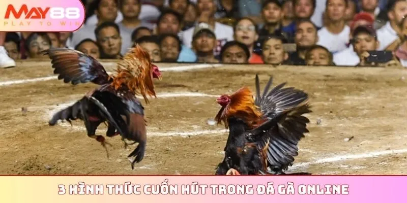 3 hình thức cuốn hút trong đá gà online