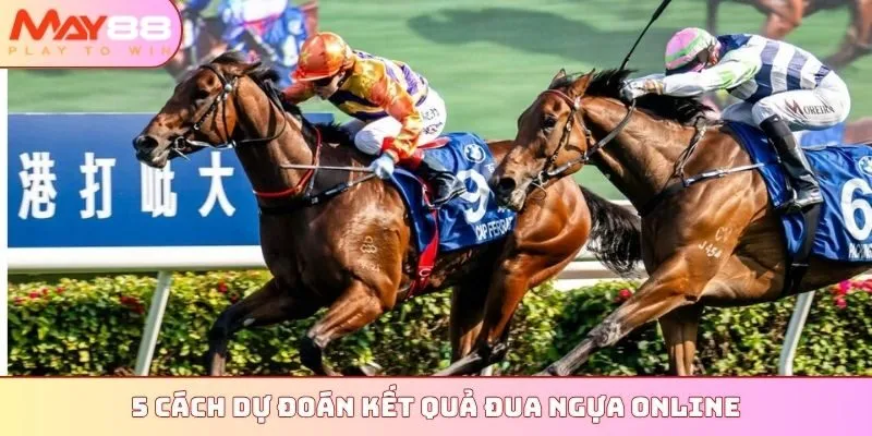 5 cách dự đoán kết quả đua ngựa online