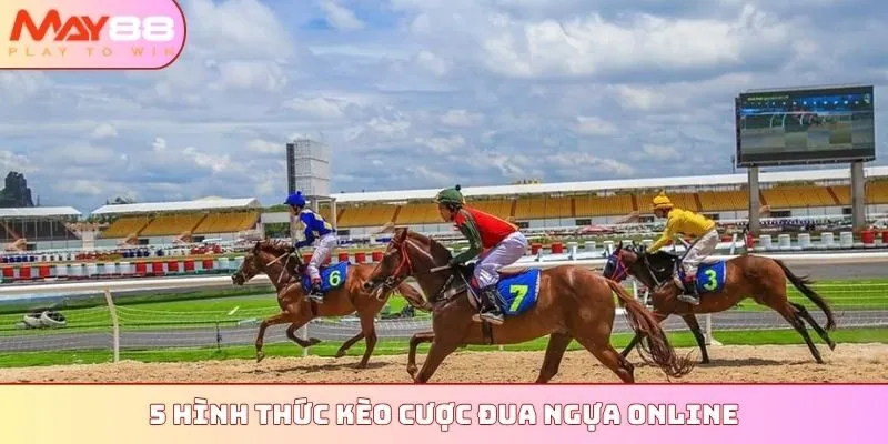 5 hình thức kèo cược đua ngựa online