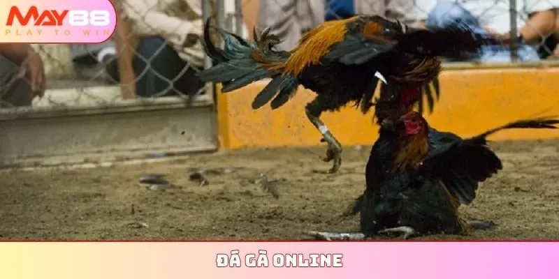 Đá gà online